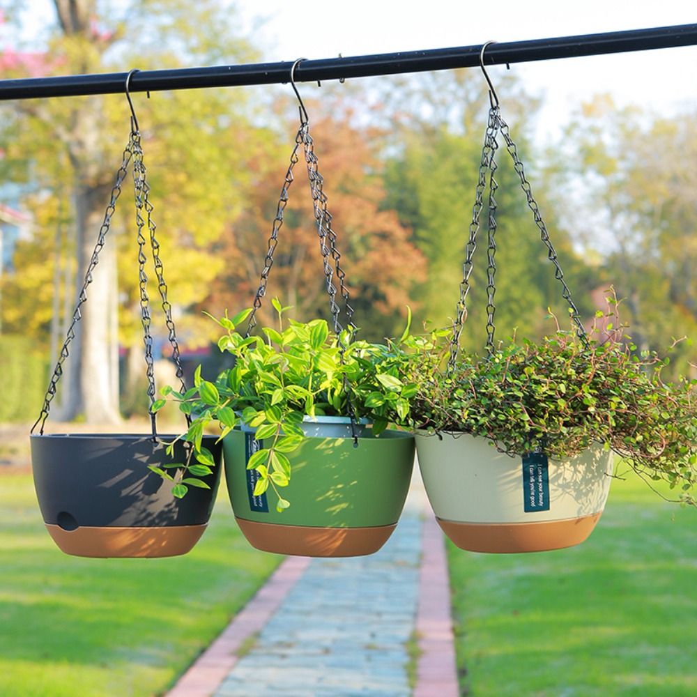 Up, Up, and Thriving — Hanging Edition 🧺