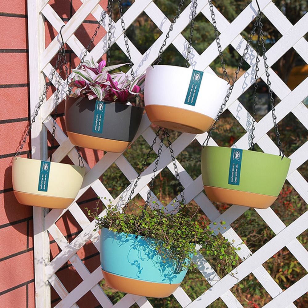 Up, Up, and Thriving — Hanging Edition 🧺