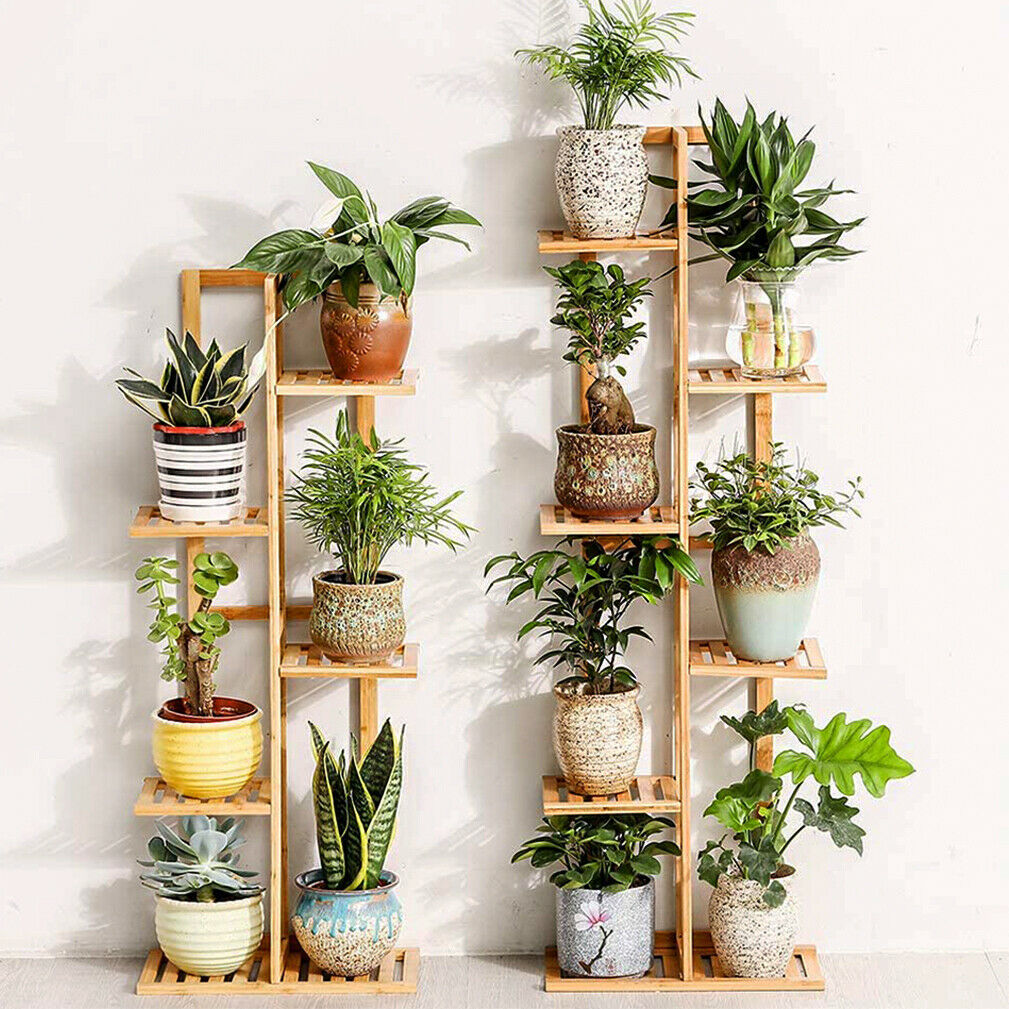 The Plant Gallery Wall (But for Your Floor) 🪴