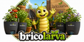 Bricolarva - Home